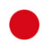 Puzzling in Japan