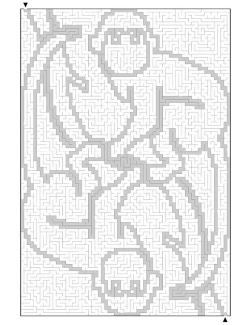 Maze Race puzzle example