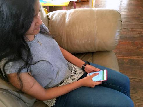 Hashi as an Intro to Graph Theory