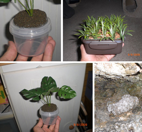 A few of my more devious hides