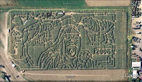 21 mazes: Wild Things