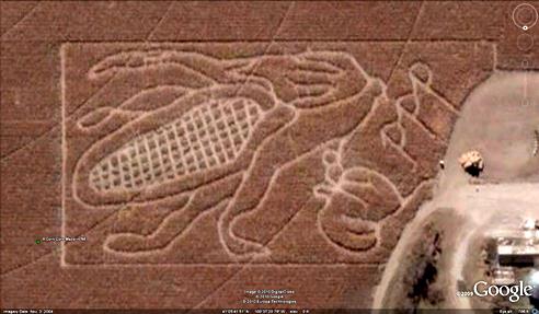 21 mazes: A Corn Corn Maze