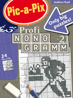 Pic-a-Pix Profi-Nonogramm 21: Cover