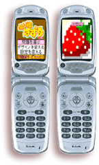 FAP on a KDDI AU Mobile Phone