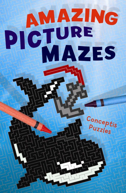 Amazing Picture Mazes
