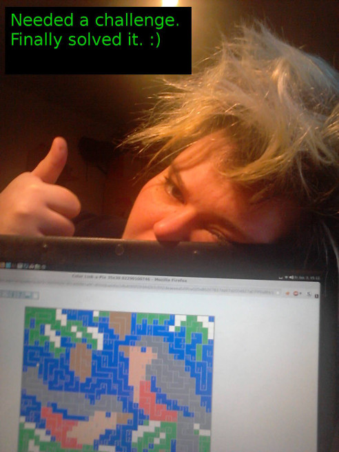 Puzzler Photo Contest Winner: Gesa Lycos