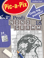 Pic-a-Pix Profi-Nonogramm 18: Cover