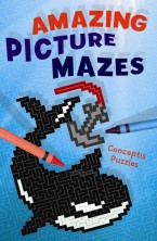 Amazing Picture Mazes
